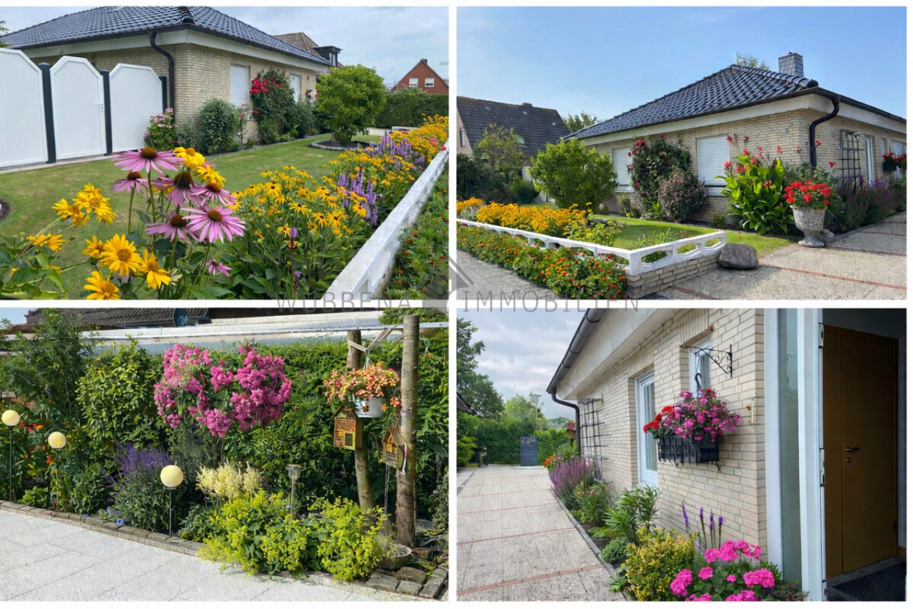 Sommerliche Aufnahmen