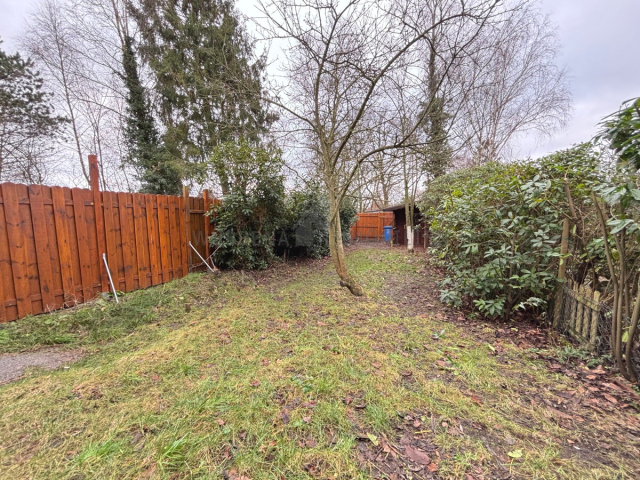 Pflegeleichter Garten